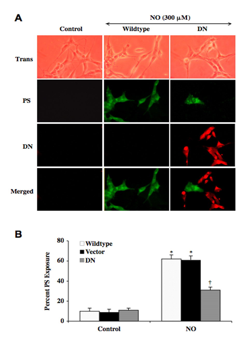 Fig. (3)