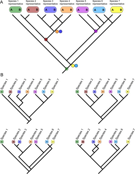 FIG. 1.