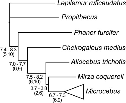 FIG. 5.