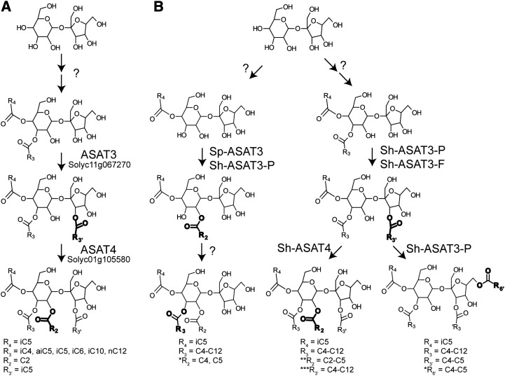 Figure 6.