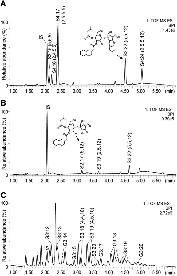 Figure 2.