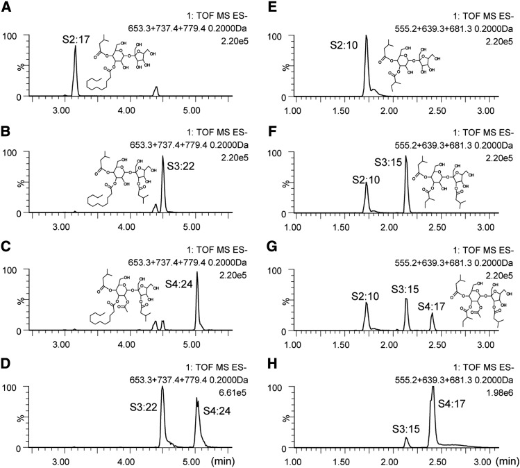 Figure 5.