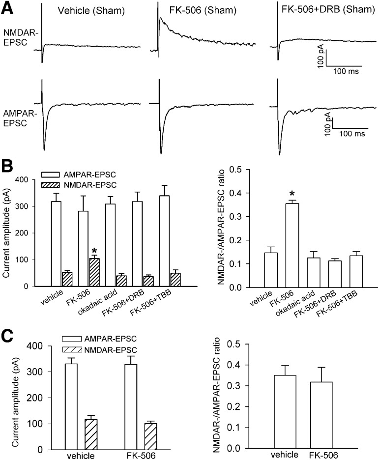 Fig. 8.