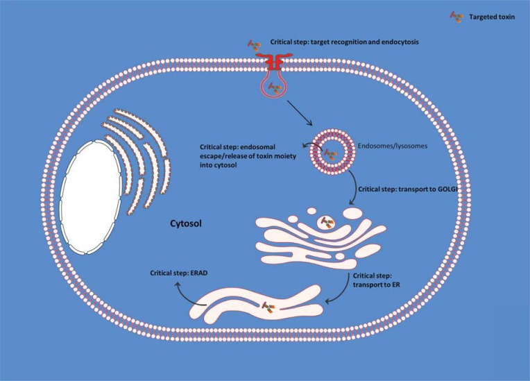 Fig. (2)