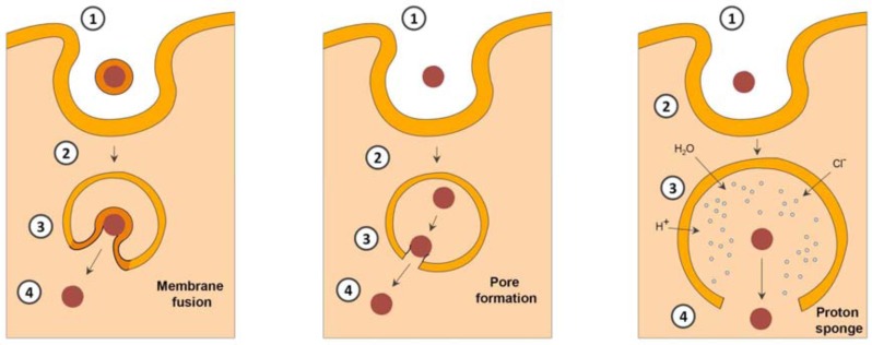 Fig. (4)