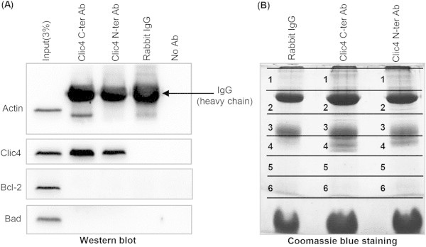 Figure 7