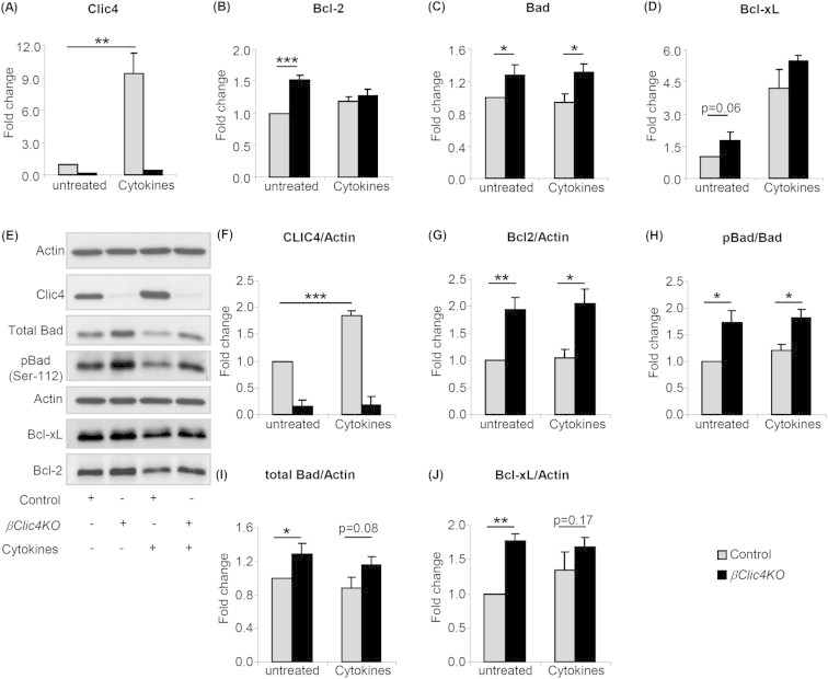 Figure 6