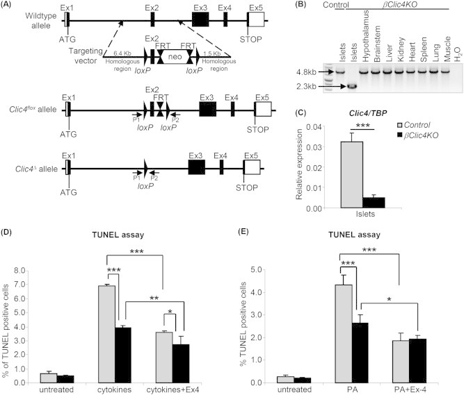 Figure 5