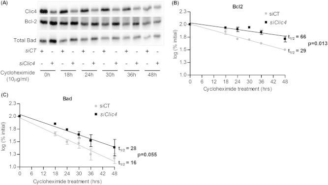 Figure 4