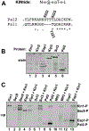 Figure 5: