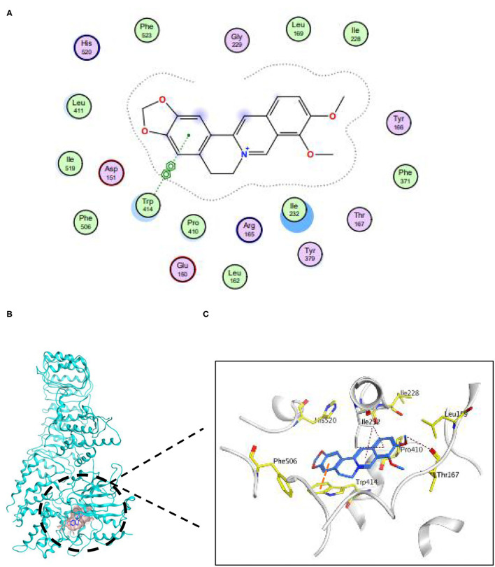 Figure 6