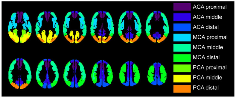 Figure 2