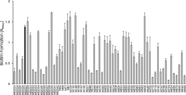 FIG. 1.