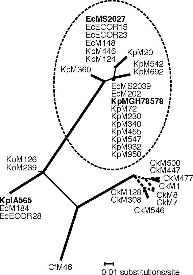 FIG. 6.