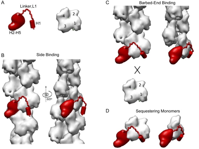 Figure 9