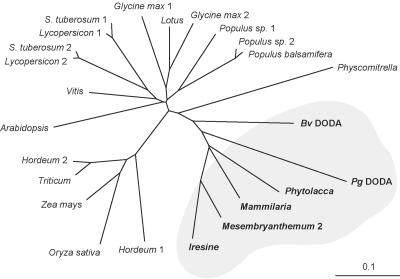 Figure 8.