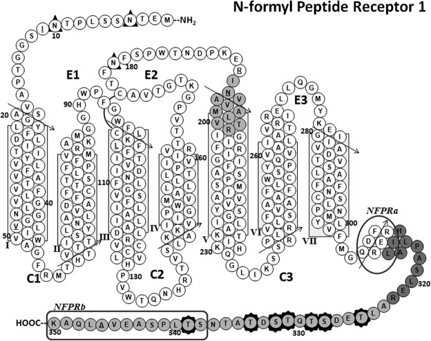 FIGURE 7.