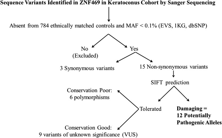 Figure 2.