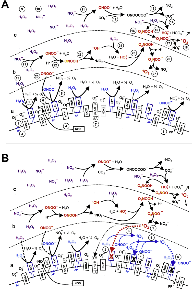 Fig. 20