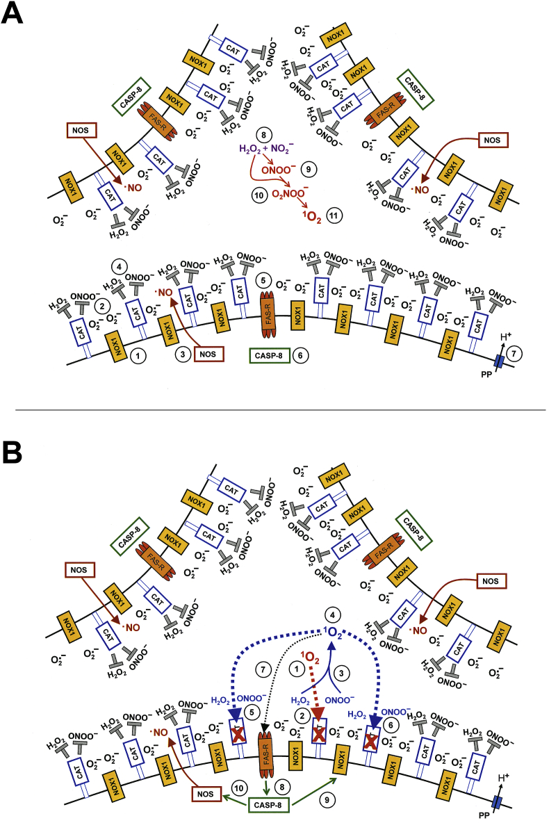 Fig. 14