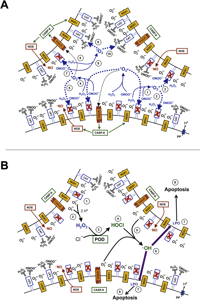 Fig. 15