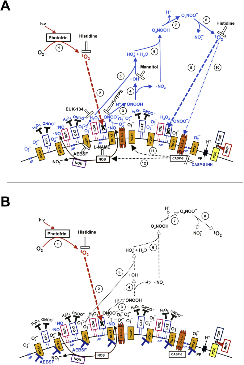 Fig. 17