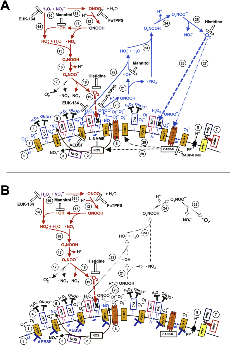 Fig. 16