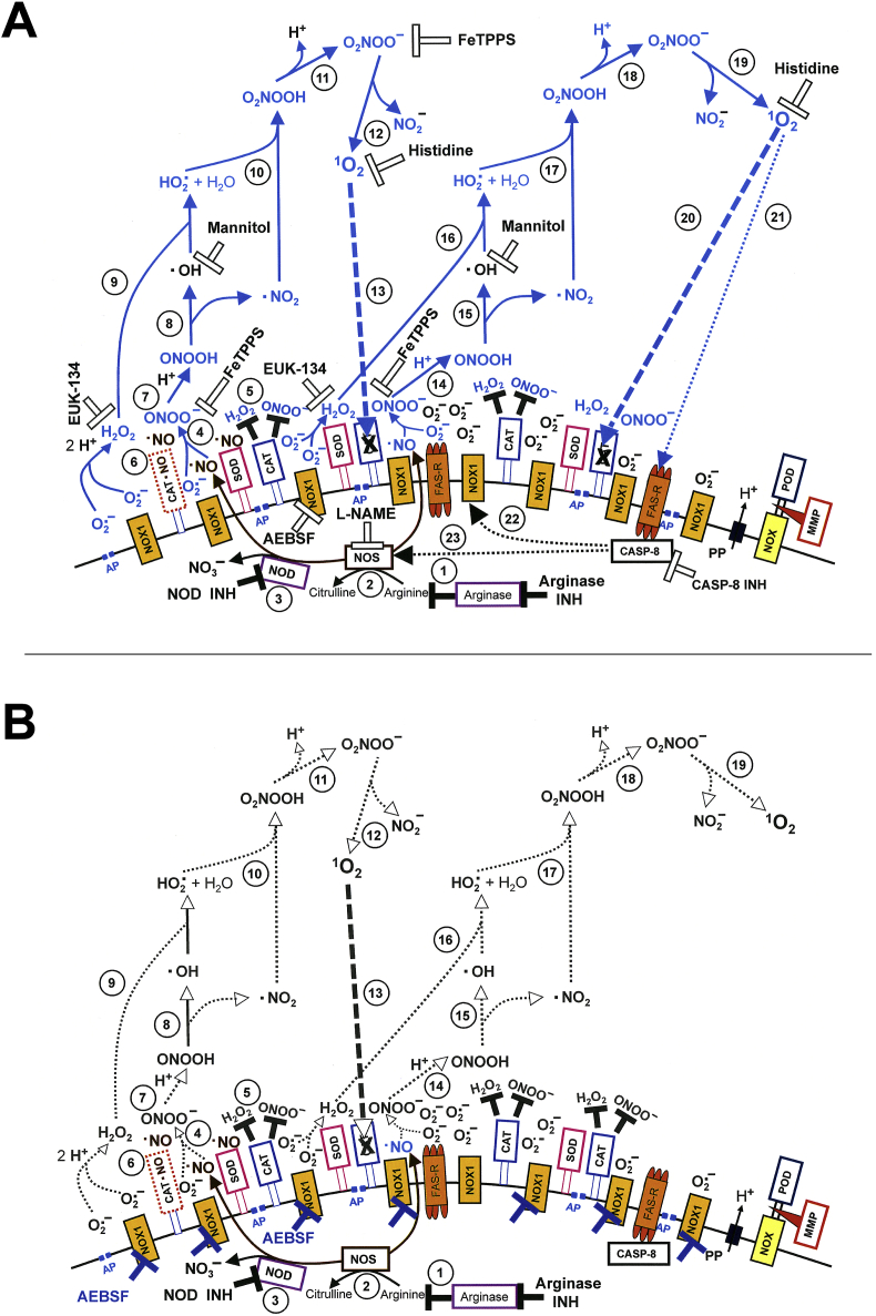 Fig. 18