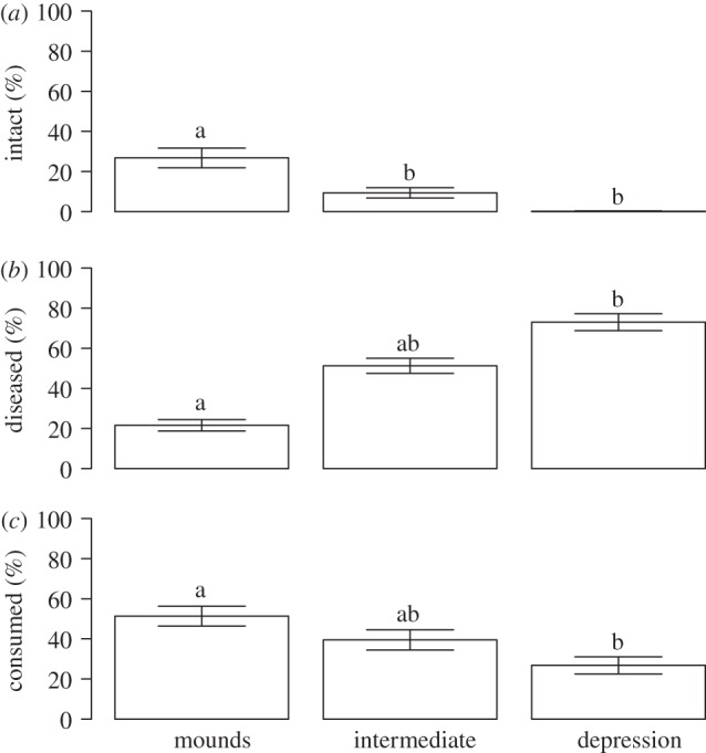 Figure 6.