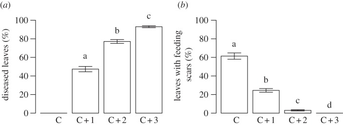 Figure 7.