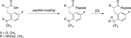 graphic file with name nihms805269f7.jpg