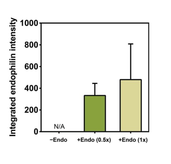 Figure 2—figure supplement 1.