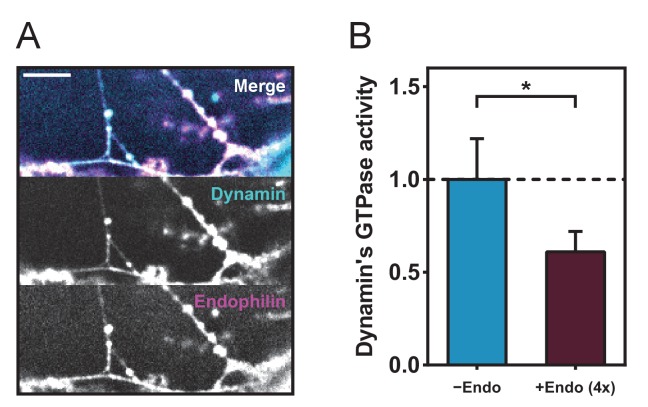 Figure 1—figure supplement 1.