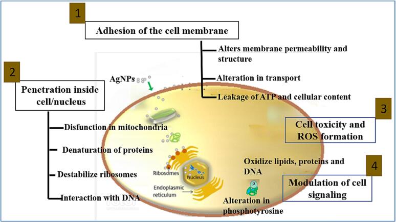 Fig. 4