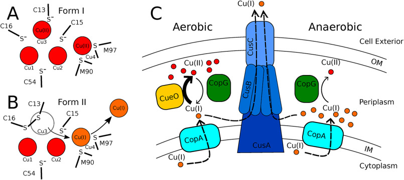 Figure 9.