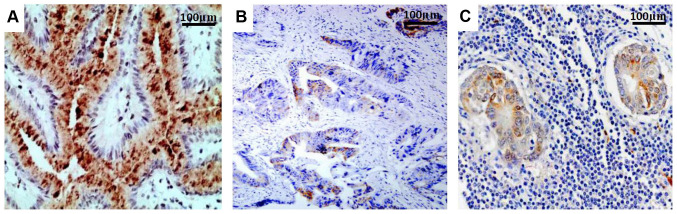 Figure 2.