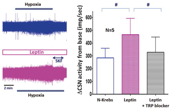 Fig. 17.4