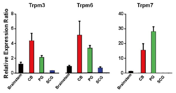 Fig. 17.5