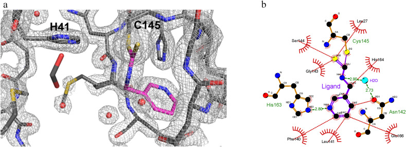 Fig. 8