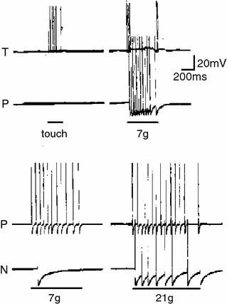 Fig. 3