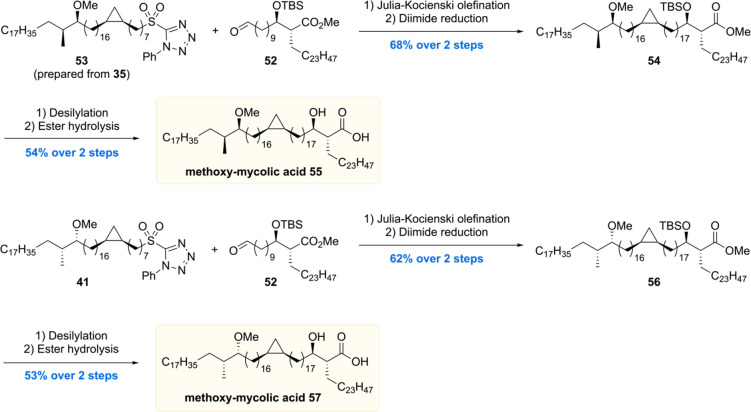 Scheme 6