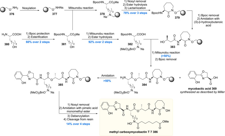 Scheme 50