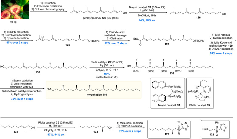 Scheme 13