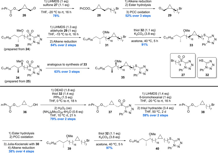 Scheme 4