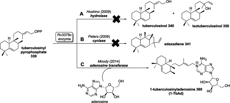 Scheme 47