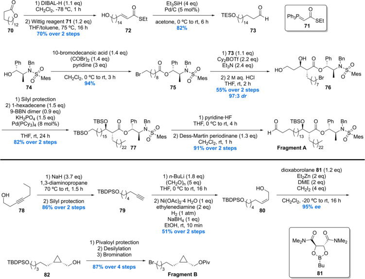 Scheme 7