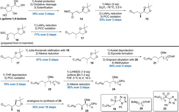 Scheme 3