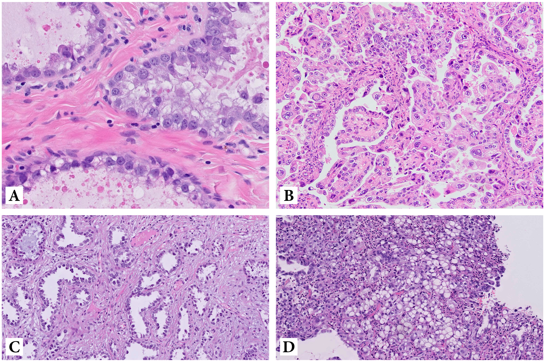 Figure 1: