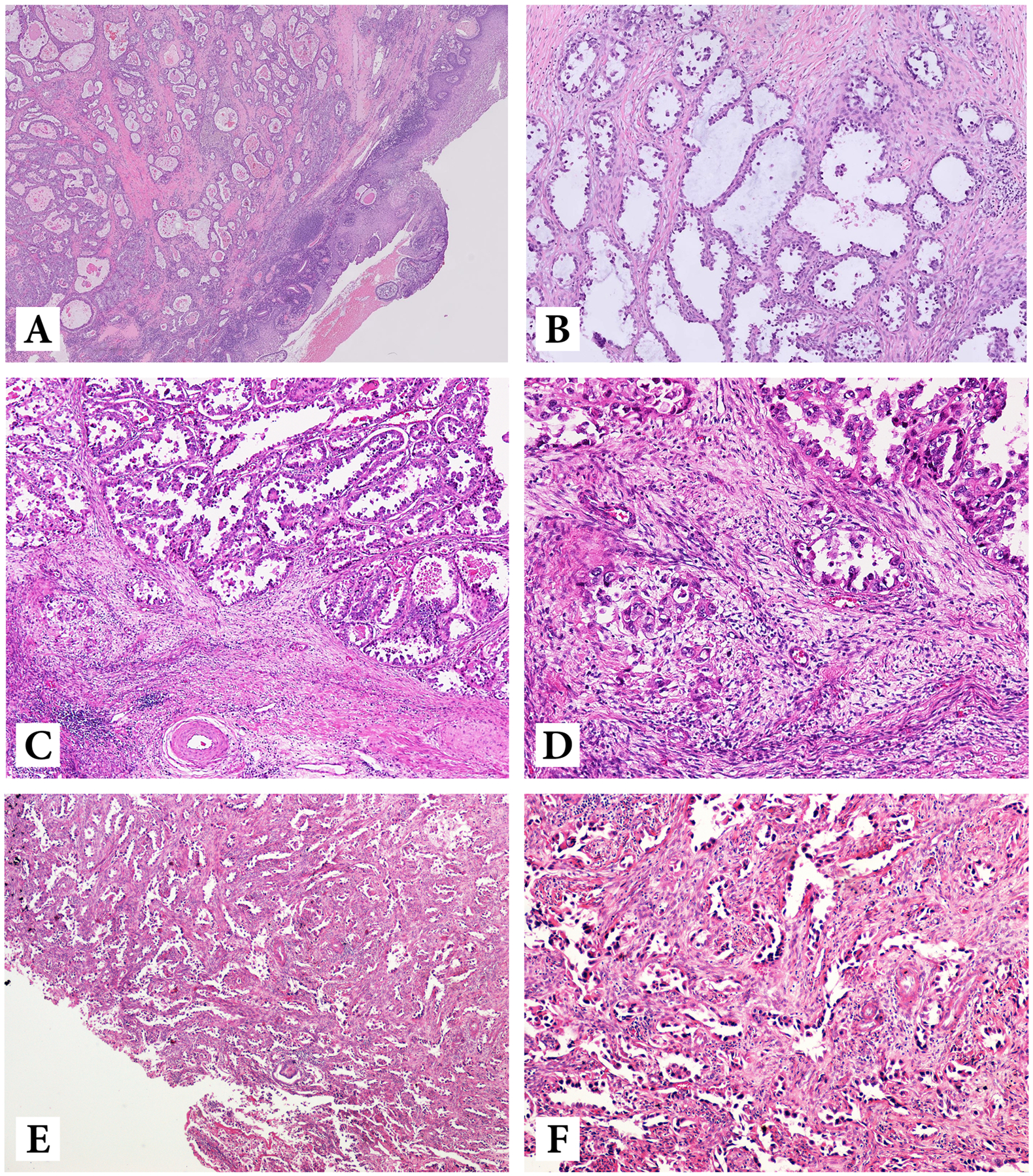 Figure 2: