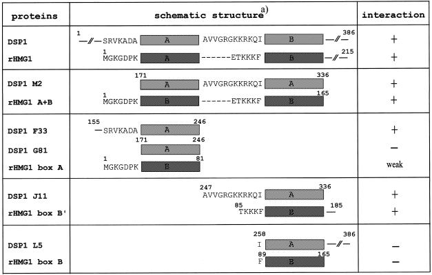 graphic file with name gkd135t01.jpg